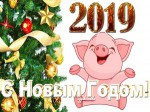 Chúc mừng năm mới 2019!