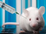Ung thư có thể được chữa trị bằng công nghệ vắc xin Covid-19 của AstraZeneca, thí nghiệm trên chuột cho thấy nhiều triển vọng