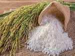 Giá gạo châu Á lên cao nhất 15 năm